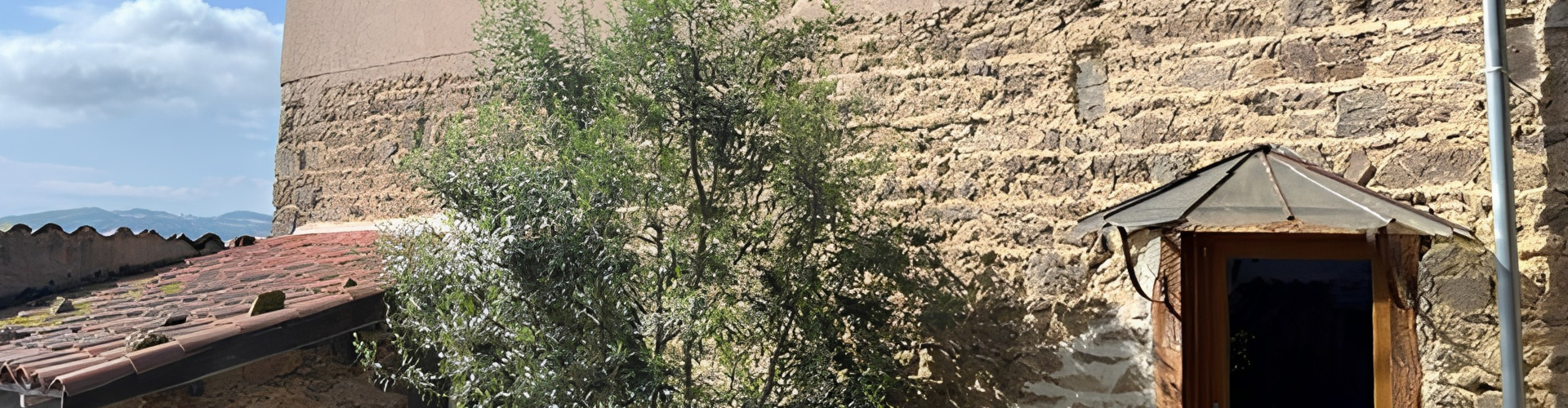 rénovation d'une façade en pisé